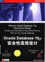 Oracle Database10g安全性高效设计