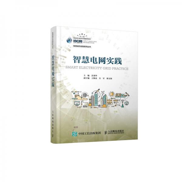 智慧電網(wǎng)實踐