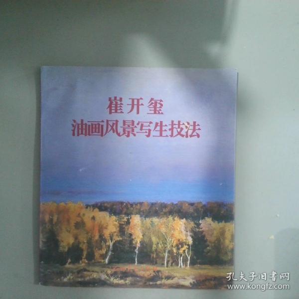 崔開(kāi)璽油畫(huà)風(fēng)景寫(xiě)生技法