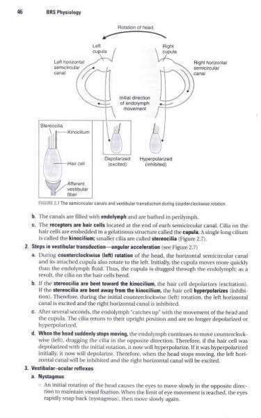 美国医师执照考试精要与习题系列：生理学精要与习题