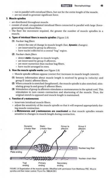 美国医师执照考试精要与习题系列：生理学精要与习题