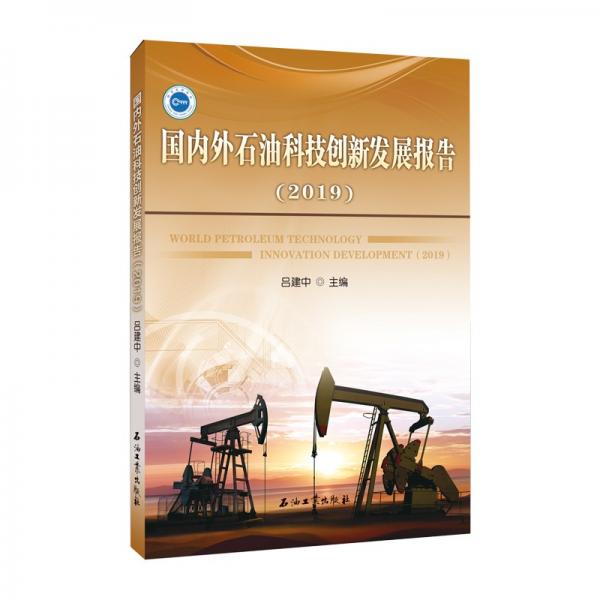 国内外石油科技创新发展报告（2019）