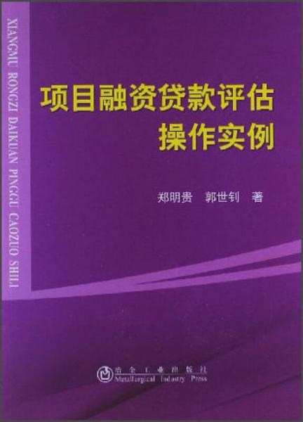 项目融资贷款评估操作实例