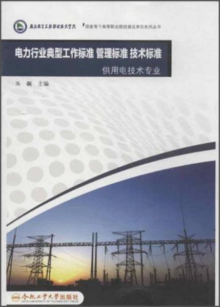 电力行业典型工作标准 管理标准 
