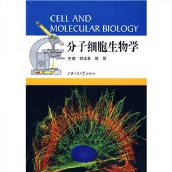 分子細(xì)胞生物學(xué)