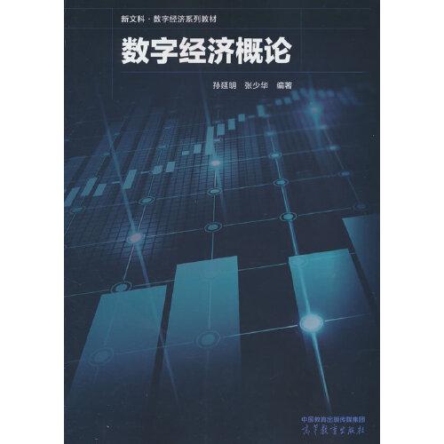 數(shù)字經(jīng)濟(jì)概論
