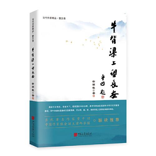 牛背梁上望長(zhǎng)安