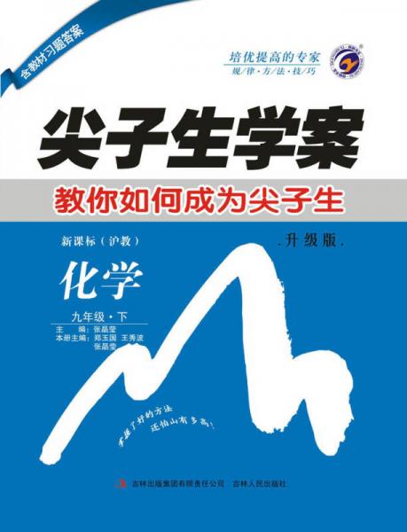 尖子生学案上海教育版九年级化学（下）
