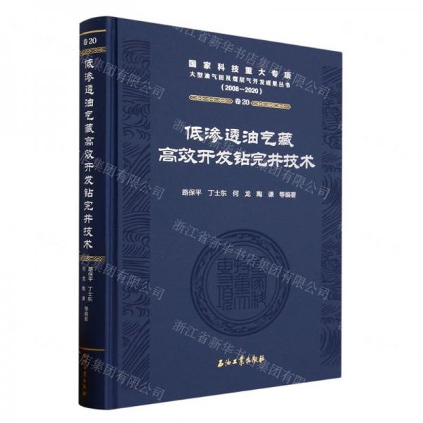 低滲透油氣藏高效開發(fā)鉆完井技術(2008-2020)(精)/國家科技重大專項大型油氣田及煤層氣開發(fā)成果叢書