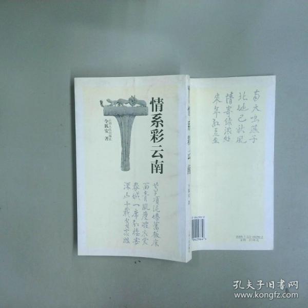 情系彩云南