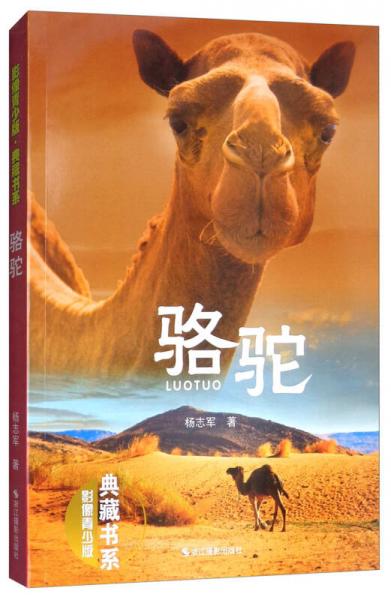 骆驼（影像青少版）/典藏书系