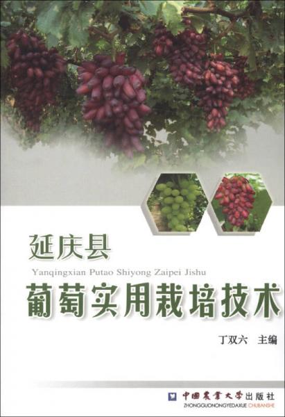 延慶縣葡萄實(shí)用栽培技術(shù)