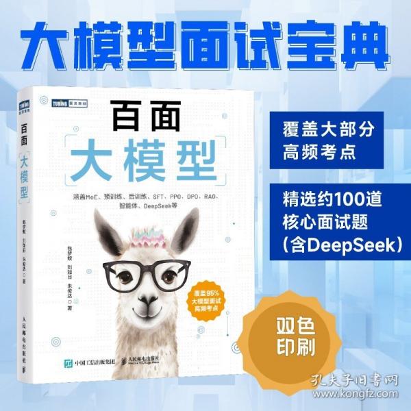 百面大模型
