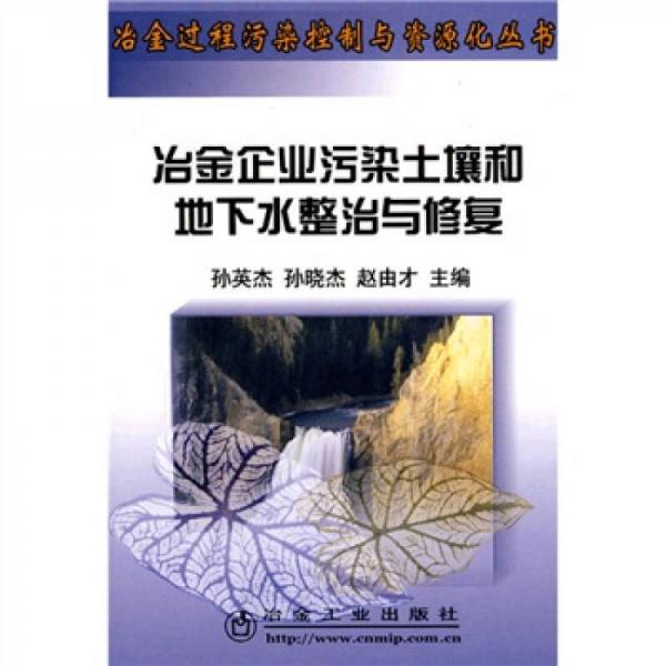 冶金企業(yè)污染土壤和地下水整治與修復