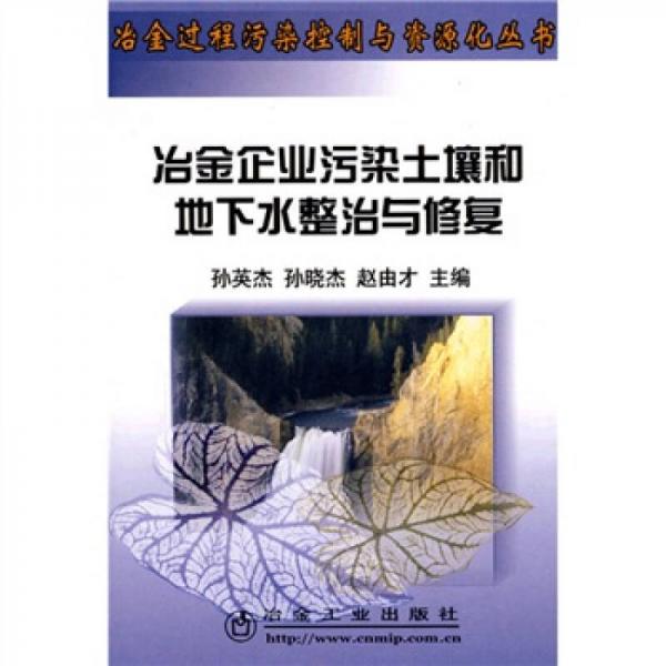 冶金企业污染土壤和地下水整治与修复