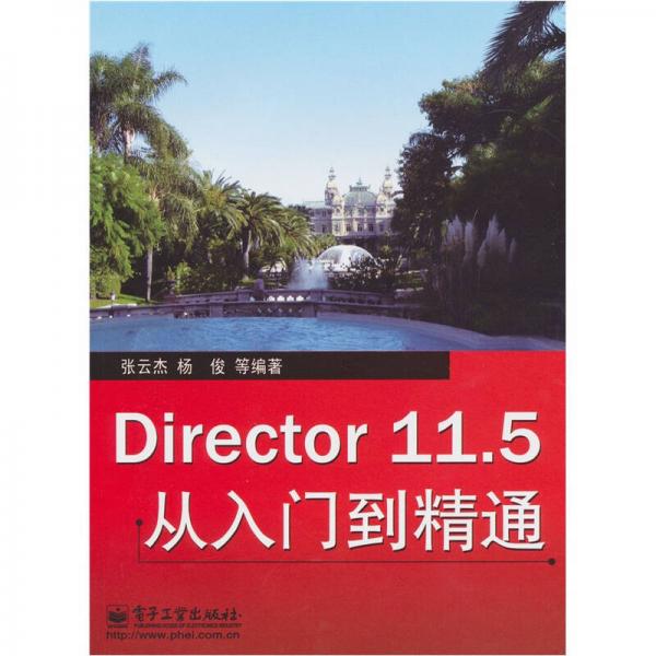 Director 11.5从入门到精通