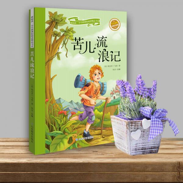 苦儿流浪记/新阅读小学新课标阅读精品书系