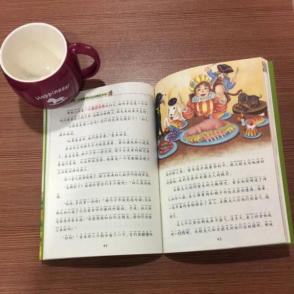 苦儿流浪记/新阅读小学新课标阅读精品书系