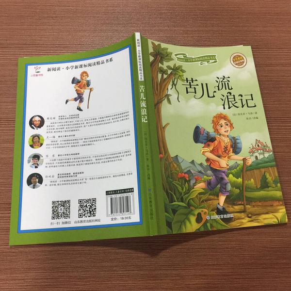 苦儿流浪记/新阅读小学新课标阅读精品书系