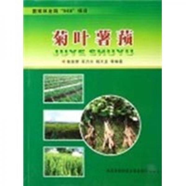 菊葉薯蕷