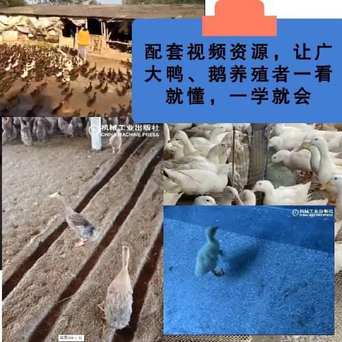 鸭鹅病鉴别诊断图谱与安全用药
