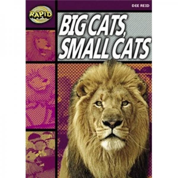 Rapid Reading-Stage 1 Set A: Big Cats