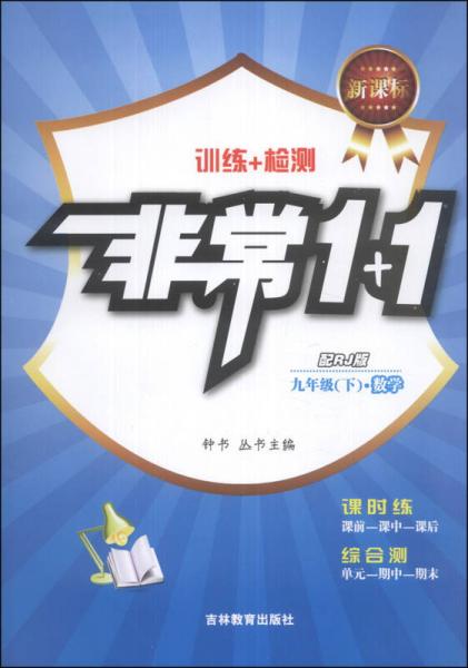 非常1+1·训练+检测：数学（9年级下）（配RJ版）（新课标）