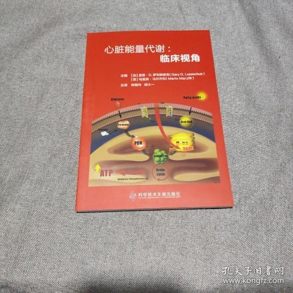 心臟能量代謝：臨床視角