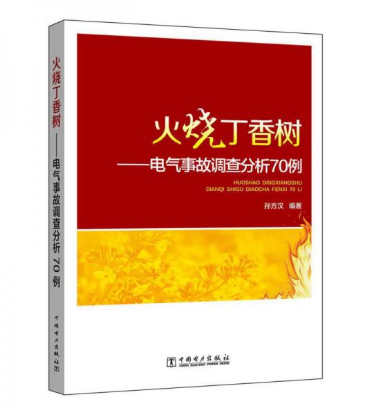 火燒丁香樹：電氣事故調(diào)查分析70例