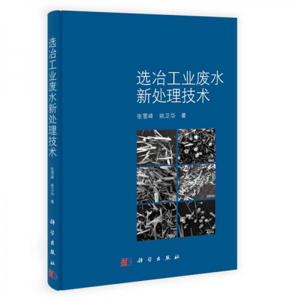 選冶工業(yè)廢水新處理技術(shù)