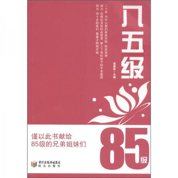 85级