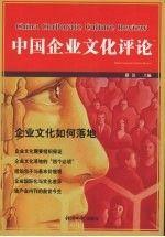 中國(guó)企業(yè)文化評(píng)論.企業(yè)文化如何落地