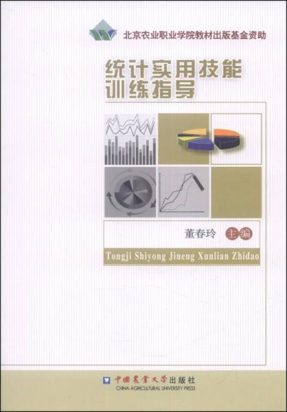 統(tǒng)計實用技能訓(xùn)練指導(dǎo)