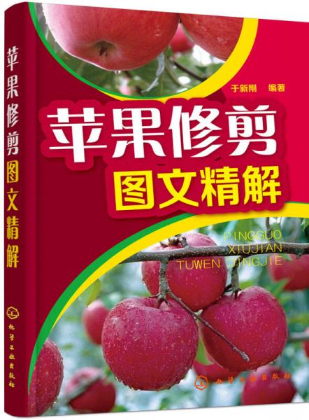 蘋果修剪圖文精解