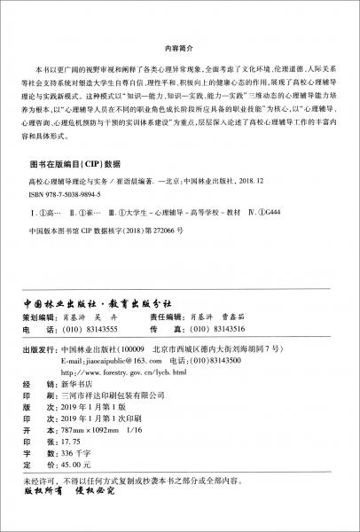 高校心理輔導(dǎo)理論與實務(wù)