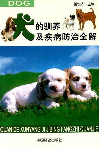 職場新人的入門忠告
