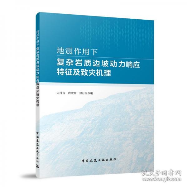 地震作用下復(fù)雜巖質(zhì)邊坡動力響應(yīng)特征及致災(zāi)機理