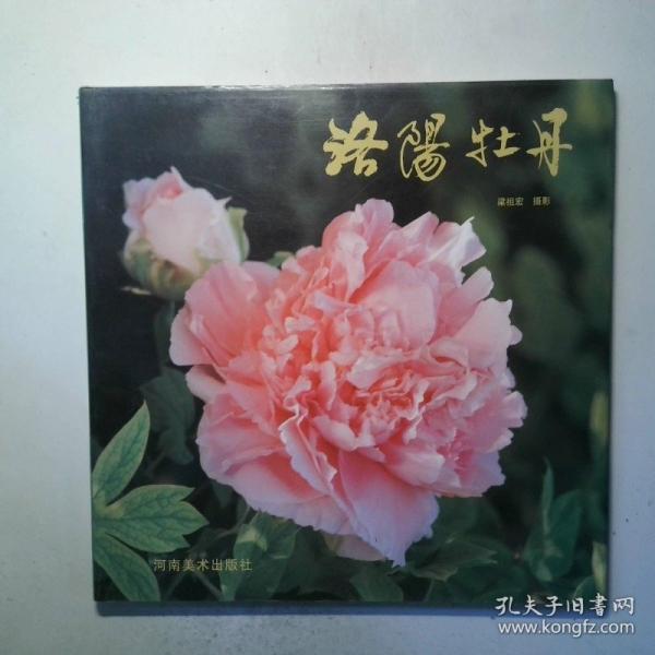 洛陽牡丹:[攝影集]