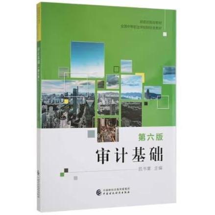 審計基礎 統(tǒng)計 凱書章主編