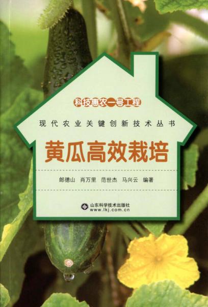 科技惠農(nóng)一號工程：黃瓜高效栽培