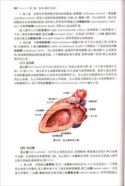 人体解剖学与组织胚胎学