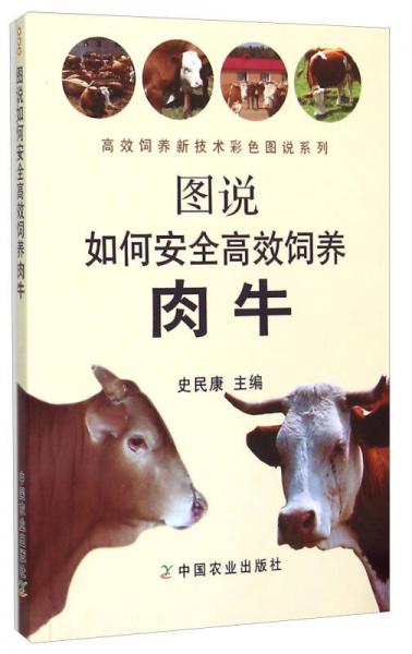 图说如何安全高效饲养肉牛