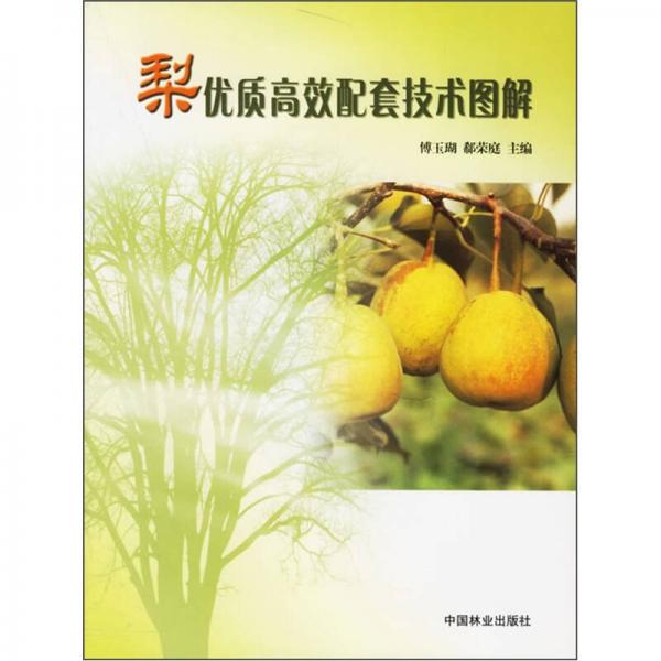 梨優(yōu)質(zhì)高效配套技術(shù)圖解