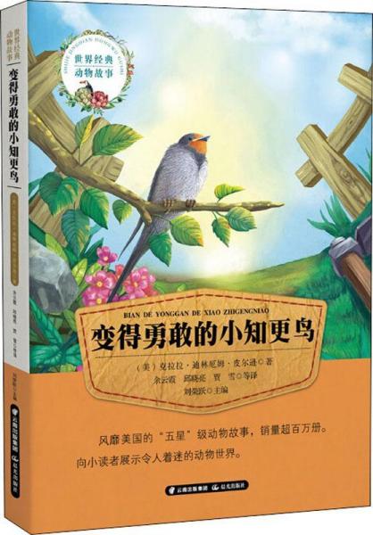 變得勇敢的小知更鳥 