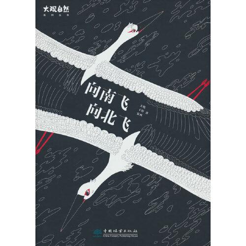 向南飛，向北飛