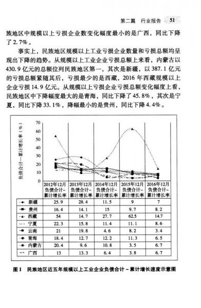 中国民族地区经济发展报告2017