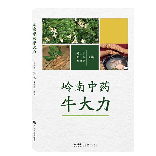 嶺南中藥牛大力 嶺南道地藥材牛大力高產(chǎn)栽培技術(shù) 牛大力臨床應用 藥食兩用 藥食同源 藥用植物 嶺南特色中藥材 廣東科技