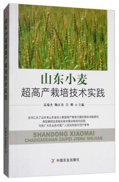 山東小麥超高產(chǎn)栽培技術(shù)實(shí)踐