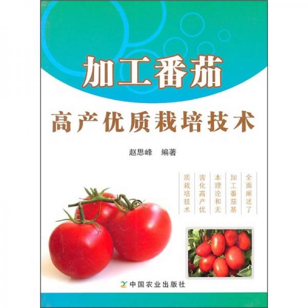 加工番茄高產(chǎn)優(yōu)質(zhì)栽培技術(shù)