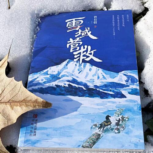 雪域营救